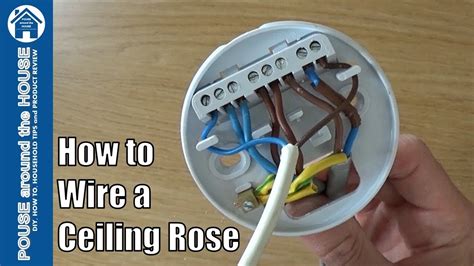 junction box ceiling rose circuit|ceiling rose light fitting bunnings.